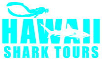 Hawaii Shark Tours